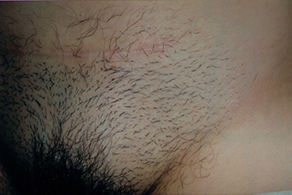 Gallery image 0